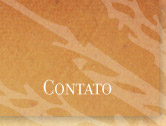 contato
